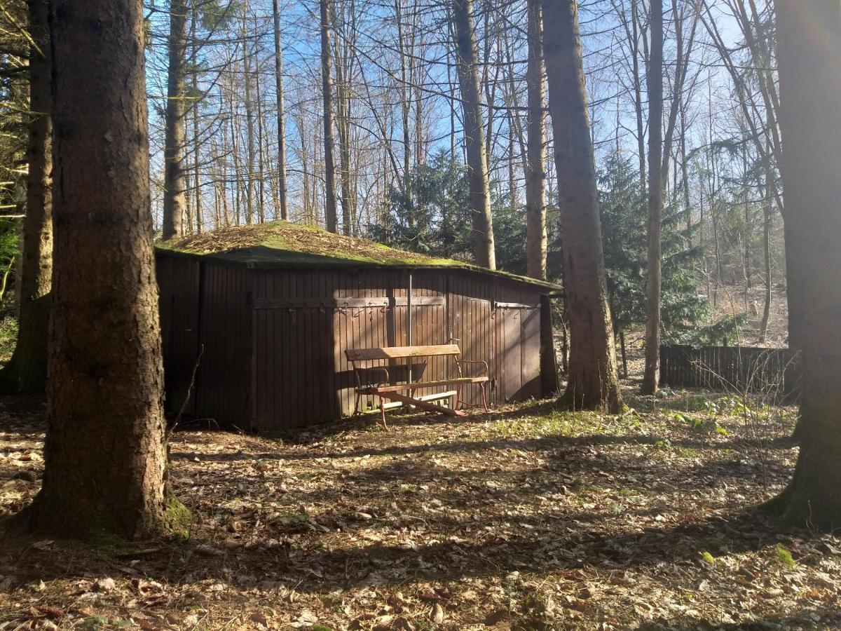Hochwald-EnSuite Bad Sachsa Exterior foto